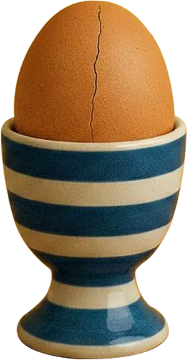 egg photo
